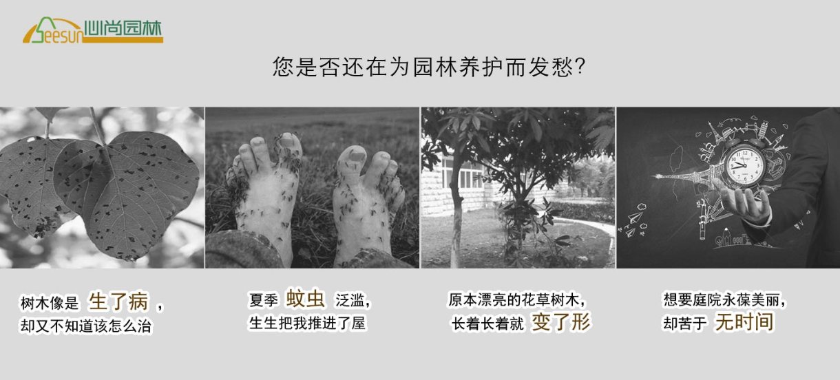 888集团(中国)有限公司官网 -welcome