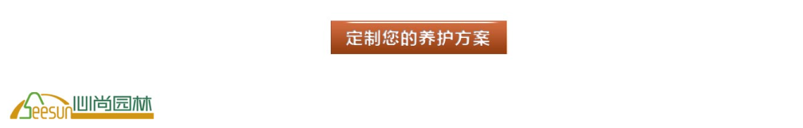 888集团(中国)有限公司官网 -welcome